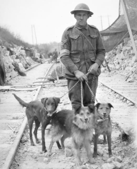 17fca4ed-e700-499d-a07e-1b9afd7de20e.Untitled 3